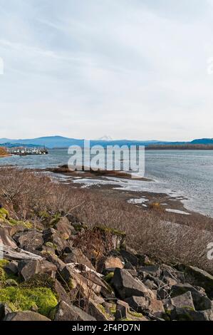 Blick auf Feuchtgebiete in Vancouver, Washington. Es gibt ein Industriegebiet oder eine kleine Halbinsel in der Ferne. Stockfoto