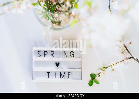 Draufsicht Springtime-Schriftzug auf dem Leuchtkasten und frisch blühende Äste auf dem weißen Hintergrund in Sonnenuntergangslicht und Schatten. Leichte inspirierende Karte Stockfoto