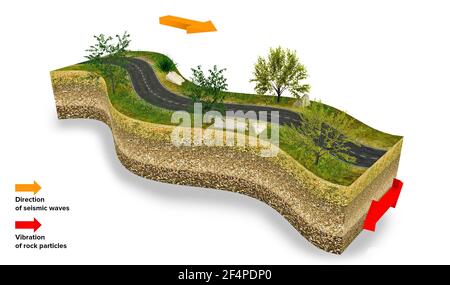 Verschiedene Arten von elastischen Wellen. Seismische Energie ist ein Wellenphänomen. Sie strahlen aus dem Hypozentrum des Erdbebens in alle Richtungen aus. Abschnitte Stockfoto