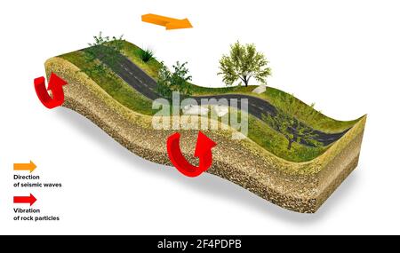 Verschiedene Arten von elastischen Wellen. Seismische Energie ist ein Wellenphänomen. Sie strahlen aus dem Hypozentrum des Erdbebens in alle Richtungen aus. Abschnitte Stockfoto