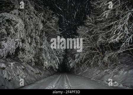 Fahren in Blizzard auf Snowy Road im Wald bei Nacht Stockfoto