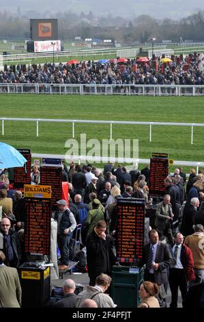 CHELTENHAM FESTIVAL 2011. 1st Tag 15/3/2011. BILD DAVID ASHDOWN Stockfoto