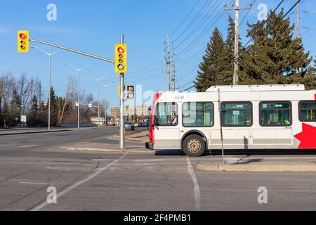 Ottawa, Kanada - 19. März 2021: Öffentlicher Bus, der an einer Kreuzung in Kanada vorbeifährt Stockfoto