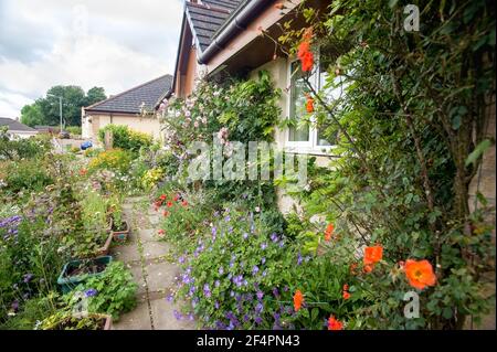 Eine hübsche und farbenfrohe Nahaufnahme eines privaten britischen Cottage-Stil Sommergarten Grenze in voller Blüte mit Blumen auf den Weg überfließen. Stockfoto