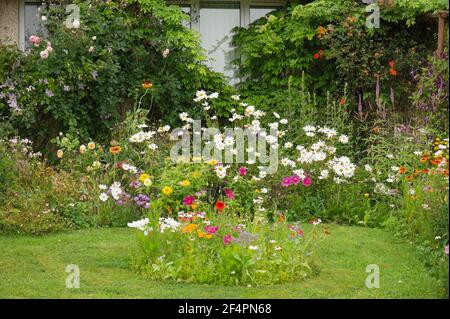 Eine hübsche und bunte Nahaufnahme eines privaten britischen Cottage-Stil Sommergarten Grenze in voller Blüte mit dem Rasen im Vordergrund. Stockfoto