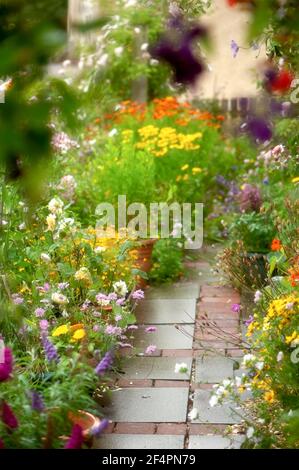 Eine hübsche und farbenfrohe Nahaufnahme eines privaten britischen Cottage-Stil Sommergarten Grenze in voller Blüte mit Blumen auf den Weg überfließen. Stockfoto