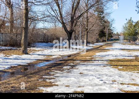 Frühling im Park mit schmelzendem Schnee auf dem Boden. Stockfoto