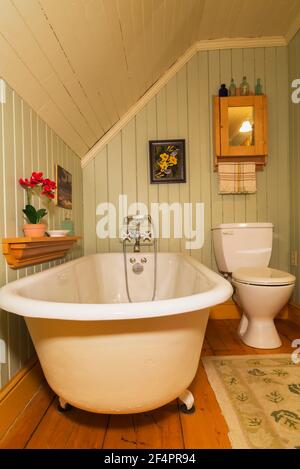 Freistehende Badewanne mit aufrollstuhlgerechten Füßen in Grün und Beige Bemalte Holzdiele Badezimmer mit östlichen Hemlock-Dielen in alten Haus Stockfoto