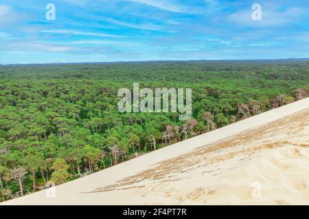 Wald bei der Düne von Pilat in Arcachon Frankreich. Blick auf die grüne Waldlandschaft von der Sanddüne Stockfoto