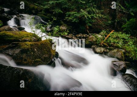 Talapus Creek Landscape - Central Cascades, Washington. Stockfoto