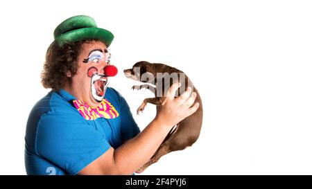 Feiertage. Lustige dicke Clown. Weißer Hintergrund. Stockfoto