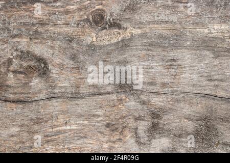 Oberfläche einer sehr alten Holzplatte, Holzhintergrund, Textur Stockfoto