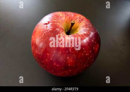 Frischer roter Apfel isoliert auf grauem Hintergrund Stockfoto