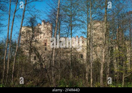 Burg Drzewica, Kreis Opoczno, Woiwodschaft Łódź, in Mittelpolen Stockfoto