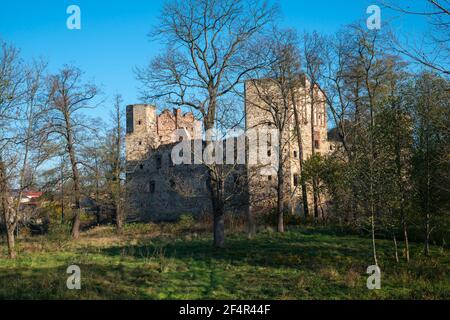 Burg Drzewica, Kreis Opoczno, Woiwodschaft Łódź, in Mittelpolen Stockfoto