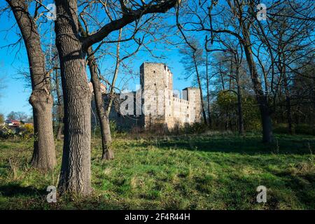 Burg Drzewica, Kreis Opoczno, Woiwodschaft Łódź, in Mittelpolen Stockfoto