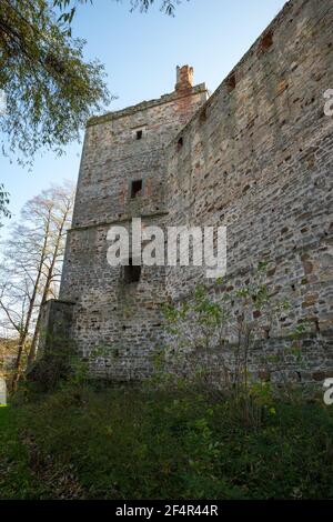 Burg Drzewica, Kreis Opoczno, Woiwodschaft Łódź, in Mittelpolen Stockfoto