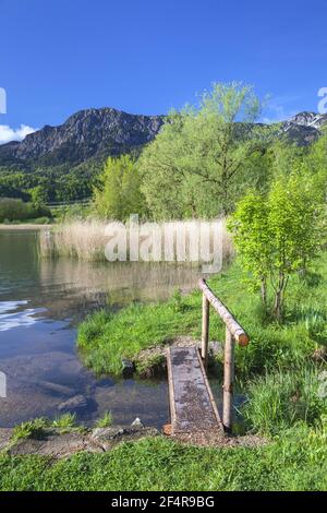 Geographie / Reisen, Deutschland, Bayern, Schlehdorf, Kochelsee (Kochelsee) vor Herzogstand (Erbse, Zusatz-Rechteklärung-Info-nicht-verfügbar Stockfoto