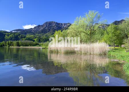 Geographie / Reisen, Deutschland, Bayern, Schlehdorf, Kochelsee (Kochelsee) vor Herzogstand (Erbse, Zusatz-Rechteklärung-Info-nicht-verfügbar Stockfoto