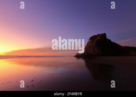Der Strand in Piha, Neuseeland, mit Sonnenuntergangswolken, die sich im nassen Sand spiegeln. Auf der rechten Seite ist Lion Rock Stockfoto
