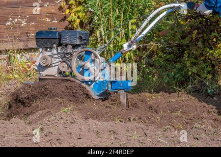 Ein nicht erkennbarer Bauer pflügt das Land mit einem Handmotorpflug. Landmaschinen: Grubber für die Bodenbearbeitung im Garten, motorisierter Handpflug Stockfoto