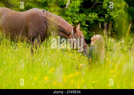 Lächelnde Frau sitzen auf der Wiese mit ihrem arabischen Pferd Stockfoto