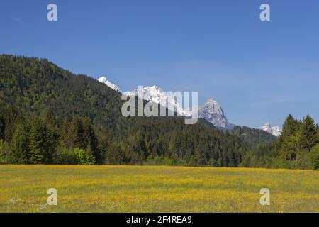 Geographie / Reisen, Deutschland, Bayern, Garmisch-Partenkirchen, Wiese vor dem Wettersteinberg, Additional-Rights-Clearance-Info-Not-available Stockfoto