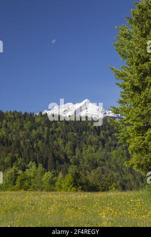 Geographie / Reisen, Deutschland, Bayern, Garmisch-Partenkirchen, Alm vor der Alpspitze (, Additional-Rights-Clearance-Info-not-available Stockfoto