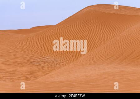 Biegung des Grats einer Sanddüne in der Wüste. Stockfoto