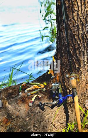 Angeln Silikon lockt Spinnrute, alter Baum mit strukturierter Rinde am Flussufer, Nahaufnahme Kopierraum, selektiver Fokus Stockfoto