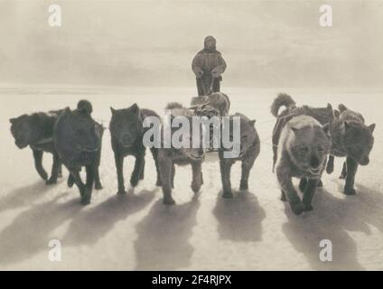 Huskies ziehen Schlitten erste Australasian Antarctic Expedition (1911-1914) fotografiert von Frank Hurley Stockfoto