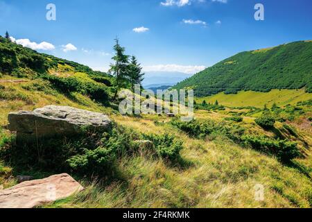 Berglandschaft an einem Sommertag. Bäume auf dem grasbewachsenen Hügel. Landschaft Rollen hinunter das Tal in die Ferne. Blauer Himmel mit flauschigen Wolken abow Stockfoto