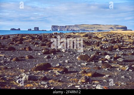 Blick auf den Strand mit schwarzem Sand in Island Stockfoto