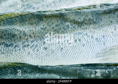 Gruppe getrockneter Fische auf Platte . Meeresfrüchte Stockfoto