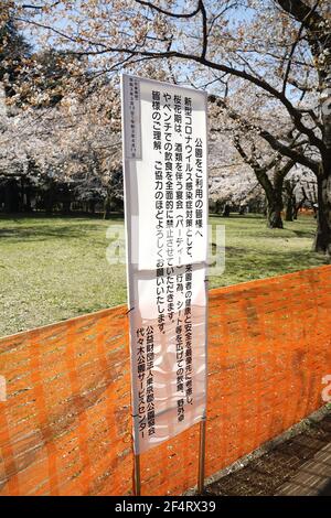 Tokio, Japan. März 2021, 23rd. Am 23. März 2021 wurden im Yoyogi Park in Tokio, Japan, Zäune und Schilder um die blühenden Kirschblüten gesetzt. Die Japan Weather Association kündigte am Montag die volle Blüte der Kirschblüten in Tokio an. Kredit: Aflo Co. Ltd./Alamy Live Nachrichten Stockfoto