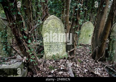 Überwuchert und baufällig Gräber, Nunhead viktorianischen Friedhof, London, Vereinigtes Königreich. Stockfoto