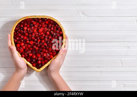 Hände zeigen sorgfältig Preiselbeeren in einem Weidenkorb von Reben in Form eines Herzens. Auf dem weiß bemalten Tisch der Bretter, links. Stockfoto
