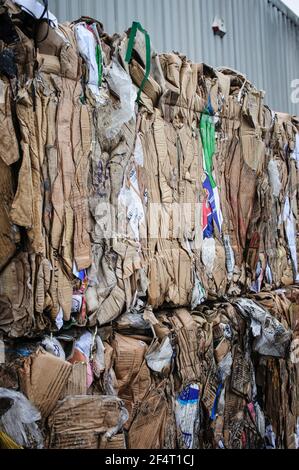 Ballen von Kartonabfällen in einer Recyclinganlage in Großbritannien. Stockfoto