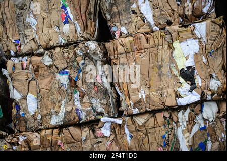 Ballen von Kartonabfällen in einer Recyclinganlage in Großbritannien. Stockfoto