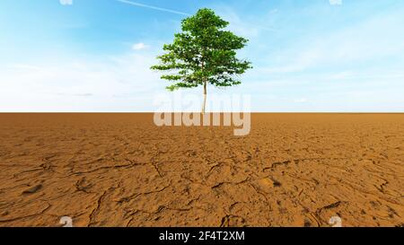 Konzept oder konzeptuelle Wüstenlandschaft mit einem grünen Baum als Metapher für globale Erwärmung und Klimawandel. Eine Warnung für die Notwendigkeit, unsere en zu schützen Stockfoto