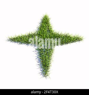 Konzept oder konzeptionelle grüne Sommer Rasen Gras isoliert auf weißem Hintergrund, Zeichen der Navigation Kompass. Eine illustration von 3D Metapher für Reisen Stockfoto