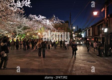 KYOTO, JAPAN - 14. APRIL 2012: Besucher genießen nächtliche Kirschblüten (Sakura) im Gion-Viertel von Kyoto, Japan. Das alte Kyoto ist ein UNESCO-Weltkulturerbe Si Stockfoto