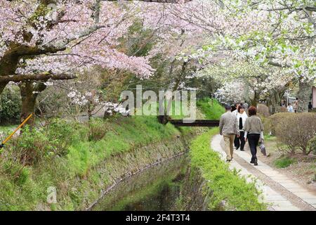 KYOTO, JAPAN - 16. APRIL 2012: Menschen besuchen Philosophenweg (oder Philosophenweg) in Kyoto, Japan. Der von Kirschblüten gesäumte Weg ist ein großer Japa Stockfoto