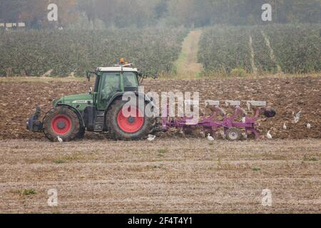 VENEZIA, ITALIEN - 14. NOVEMBER 2020: Ein Bauer mit seinem Traktor pflügt das Land am Ende der Herbstsaison, um es für die Frühjahrspflanzung vorzubereiten Stockfoto