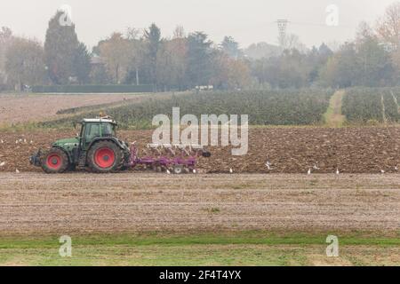 VENEZIA, ITALIEN - 14. NOVEMBER 2020: Ein Bauer mit seinem Traktor pflügt das Land am Ende der Herbstsaison, um es für die Frühjahrspflanzung vorzubereiten Stockfoto