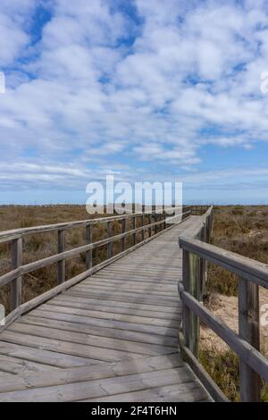 Eine hölzerne Promenade, die durch Küstenmarschen und Sanddünen führt Stockfoto