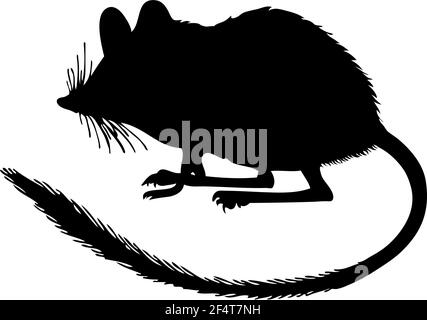 Marsupial Jerboa Silhouette. Glatte und saubere Linien. Hohe detailreiche marsupial Jerboa Silhouette. Vektorgrafik. Stock Vektor