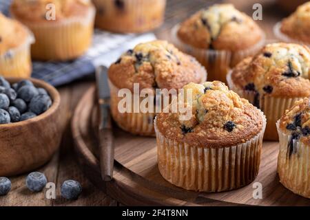 Heidelbeer-Muffins auf einer Holzplatte mit Beeren und Muffins Im Hintergrund Stockfoto
