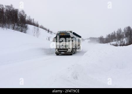 EUROPÄISCHE ROUTE 12, SCHWEDEN AM 12. MÄRZ 2012. LKW bei schneebedecktem Wetter. Neu herabgefallener Schnee. Starke Schneeverwehung. Redaktionelle Verwendung. Stockfoto