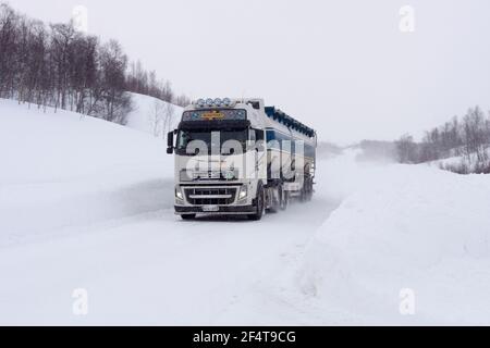 EUROPÄISCHE ROUTE 12, SCHWEDEN AM 12. MÄRZ 2012. LKW bei schneebedecktem Wetter. Neu herabgefallener Schnee. Starke Schneeverwehung. Redaktionelle Verwendung. Stockfoto